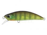 Lure DUO Spearhead Ryuki 50S - CCC3055 Chart Gill