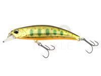 Lure DUO Spearhead Ryuki 60S - MCC4084 Gold Yamame