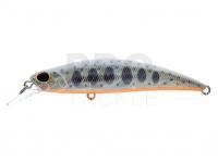 Hard Lure Duo Spearhead Ryuki 80S - AJO4064 Ivory Yamame OB