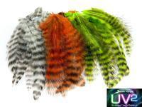 Spirit River UV2 Grizzly Soft Hackles