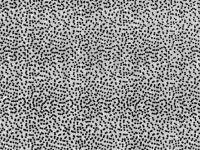 Wapsi Thin Skin Fly Specks - 000 Clear Black