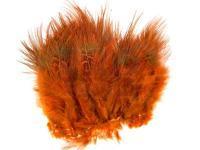 Wapsi Ringneck Rump Hackle