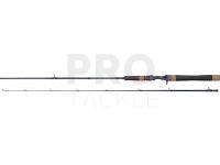 Rod Casting Dragon G.P. Concept Twitch Cast 42MH 1.90m 18-42g