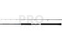 Rod Shimano Salty Advance Spinning 3.05m 10'0" 60g JIG80g 2pc