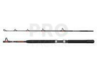 Penn Warfare II Boat Rod