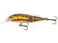Hard Lure Wob-Art Piskorz DR 6cm 5g - 13