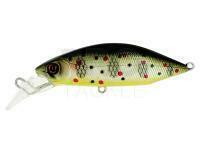 Hard Lure Adam's Adam's Hump Minnow 55 S | 55mm 6.6g - Truitelle