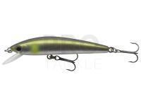 Hard Lure Daiwa Tournament Baby Minnow 60SP | 6cm 3.5g - matt ayu