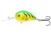 Lure Dorado Alaska Acustic 6cm - FT
