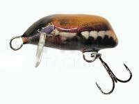 Lure Dorado Beetle 3 NB