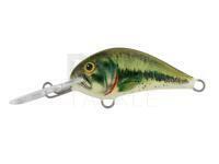 Lure Dorado Blagier 3,5F BS