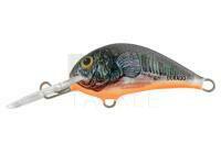 Lure Dorado Blagier 3,5F CK
