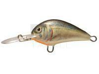 Lure Dorado Blagier 3,5S AL