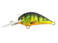 Lure Dorado Blagier 3,5S FP