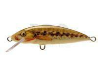 Lure Dorado Classic C-5 Floating NB