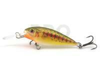 Dorado Invader I-4 Floating GTR