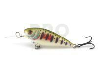 Dorado Invader I-5 Floating DGR