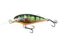 Dorado Invader I-5 Floating HP (Holographic)