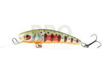 Lure Dorado Stick 5.5cm Floating - DGR