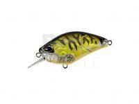 Crankbait DUO Realis Crank Kabuki 55 SR | 55mm 9.7g | 2-1/8in 3/8oz -  CDX3933 Champagne Tiger