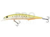 Lure DUO Realis Jerkbait 120SP - AST0333