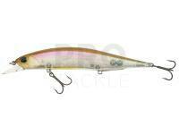 Lure DUO Realis Jerkbait 120SP - CCC3325