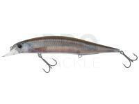Lure DUO Realis Jerkbait 120SP - CCC3816 Wakasagi ND
