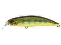 Lure DUO Spearhead Ryuki 60S - ADAZ154 Trebizat Yamame