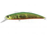 Hard Lure Duo Spearhead Ryuki 80S - ADA4059 Green Gold OB