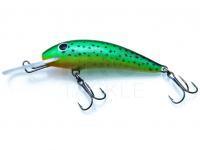 Lure Gloog Kalipso 60SDR - STG