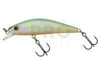 Lure Gunki Gamera 63mm HW - Burning Trout