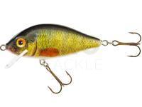 Jaxon Lure Holo Select Karaś UV 7.5cm - PG