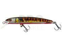Hard Lure Hunter Shadok 70mm 4.5g F - STR