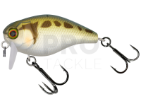 Hard Lure Illex Chubby 41 SSR 4.1cm 5.7g - Tonosama