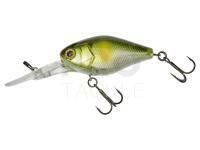 Hard lure Illex Chubby 41mm DR 6.1g - SG Ayu