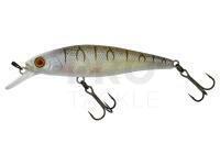 Hard Lure Illex Squad Minnow 65 SP - Tiger Bone