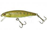 Hard Lure Illex Tiny Fry 50 SP RT - Truitelle