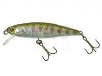 Hard Lure Illex Tiny Fry 50 SP RT - Yamame