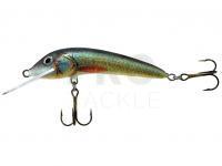 Lure Jaxon Ferox 6cm F Color UK