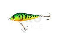 Hard lure Jaxon Holo Select Elon Nature 3D 7cm 9g - TG