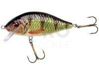 Hard lure Jaxon Holo Select Karaś Nature 3D 9cm 17g - OH