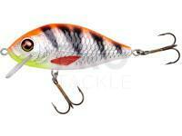 Hard lure Jaxon Holo Select Karaś Nature 3D 9cm 17g - OR