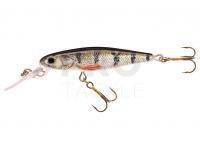 Hard Lure Jaxon Holo Select Manga DR 5cm 8g - OK