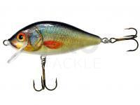 Jaxon Karas 7.5cm F Color UK