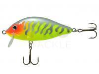 Lure Jaxon Karaś SW Holo Select 9cm MA