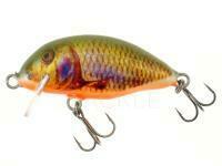 Hard lure Kenart Chubby 4cm 3.5g - GO