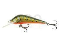 Lure Kenart Dynamic 6cm NT