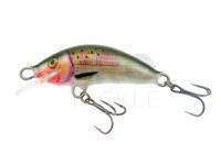 Lure Kenart Winner 2,5cm G
