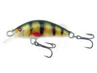 Lure Kenart Winner 2,5cm PG