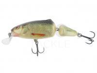 Salmo Frisky 7 SR - Real Dace